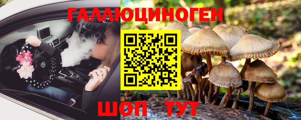 Галлюциногенные грибы мухоморы Новомосковск