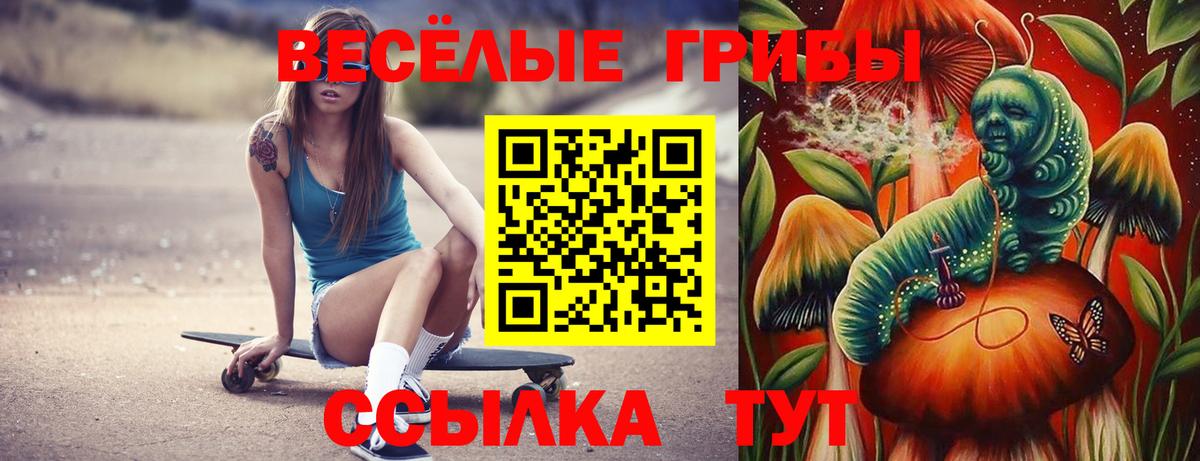 цены   Вход с VPN  Псилоцибиновые грибы мицелий  Новомосковск  Псилоцибиновые грибы мухоморы 